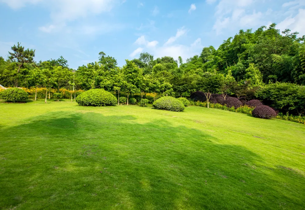 Garden maintenance can include