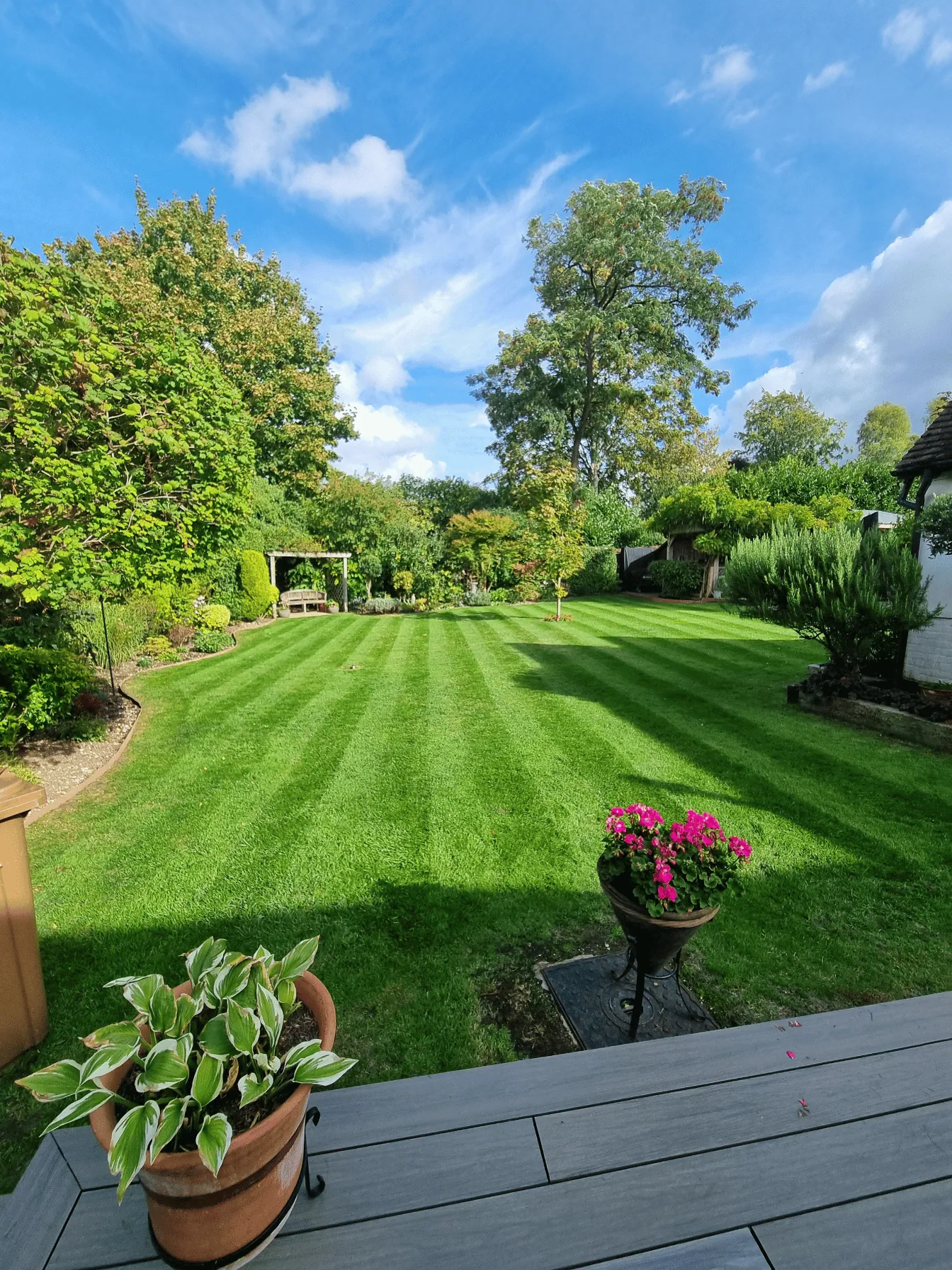 Garden cared for by Ellis Horticulture
