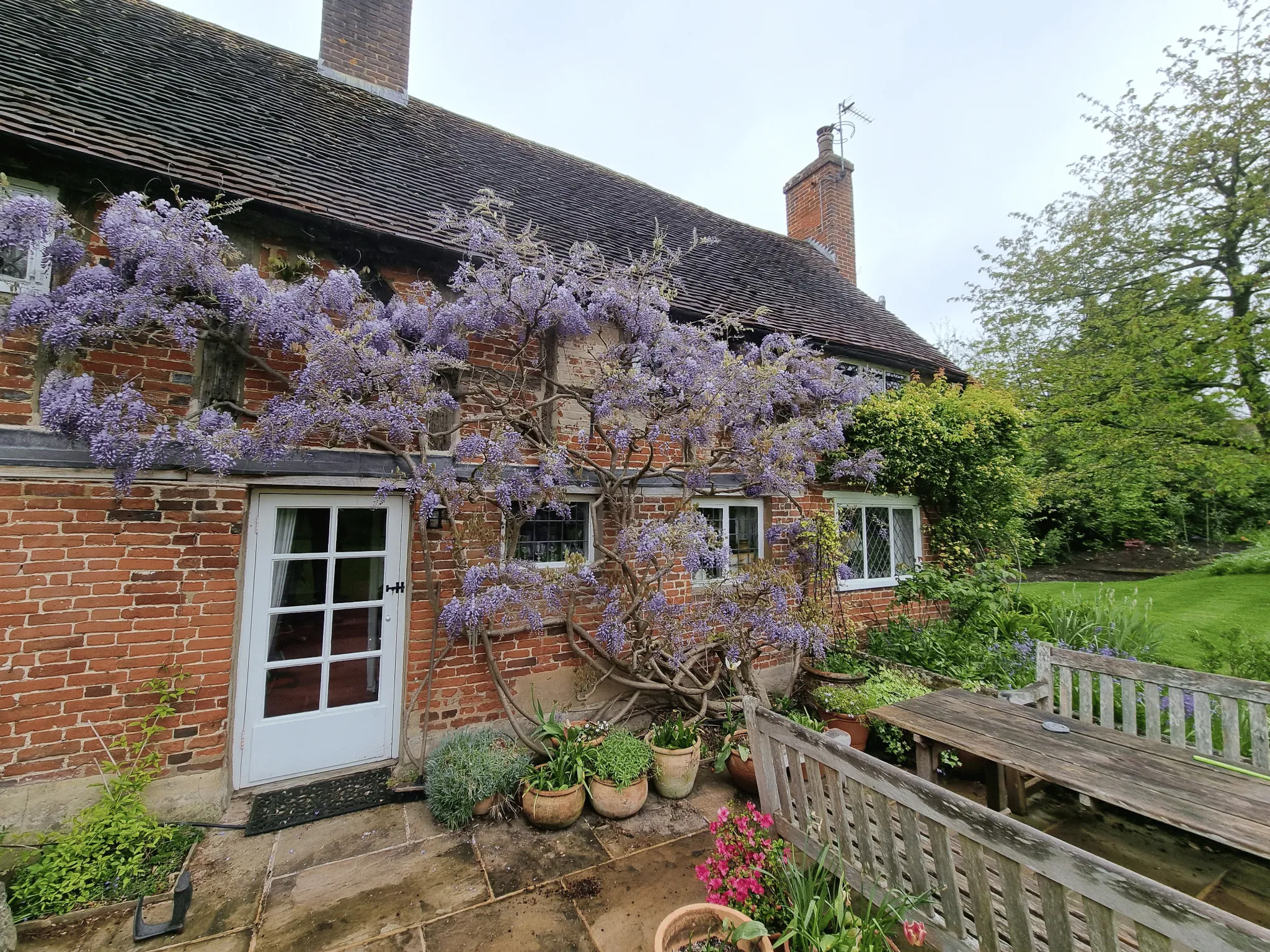 Garden cared for by Ellis Horticulture