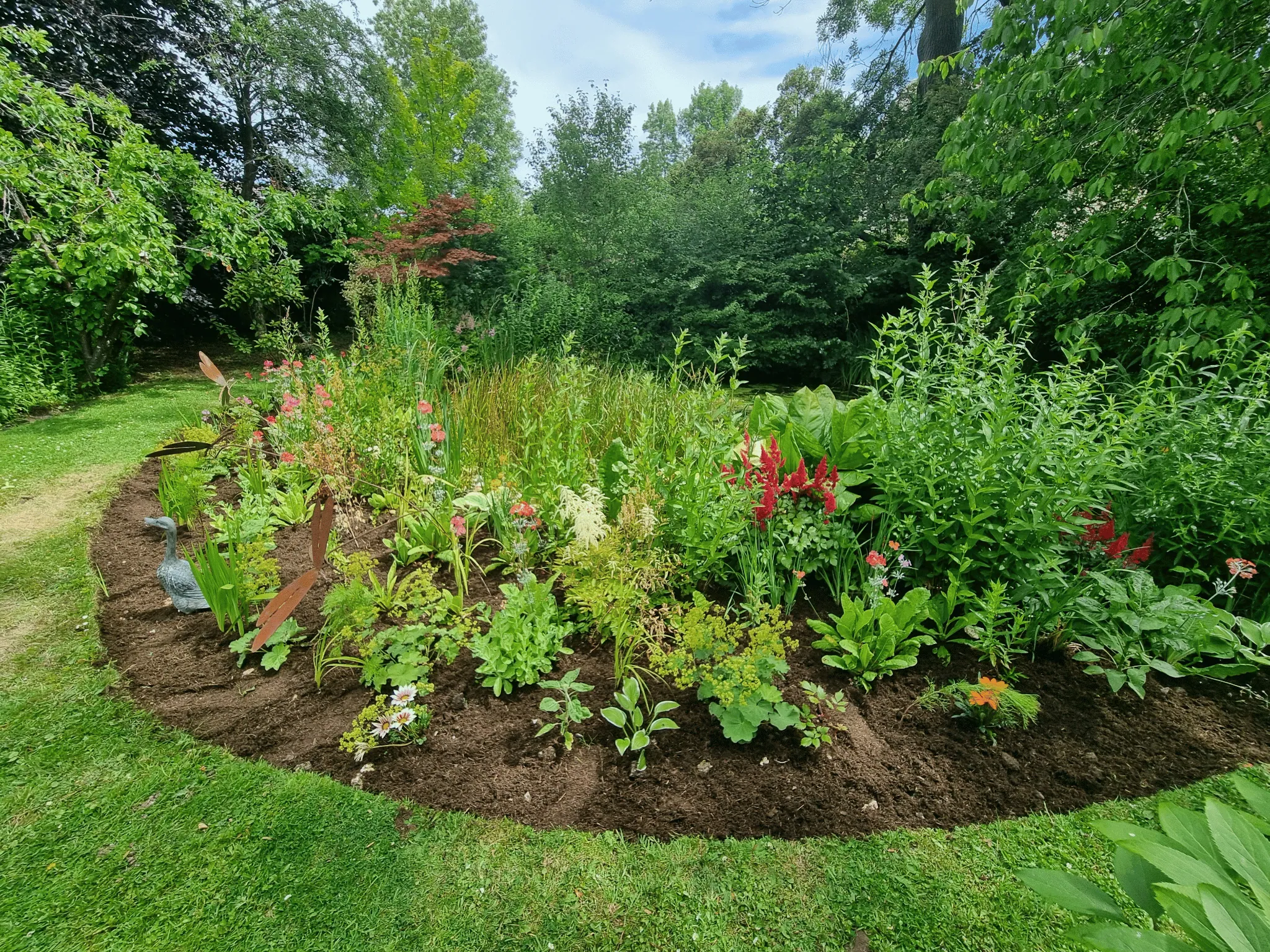 Garden cared for by Ellis Horticulture