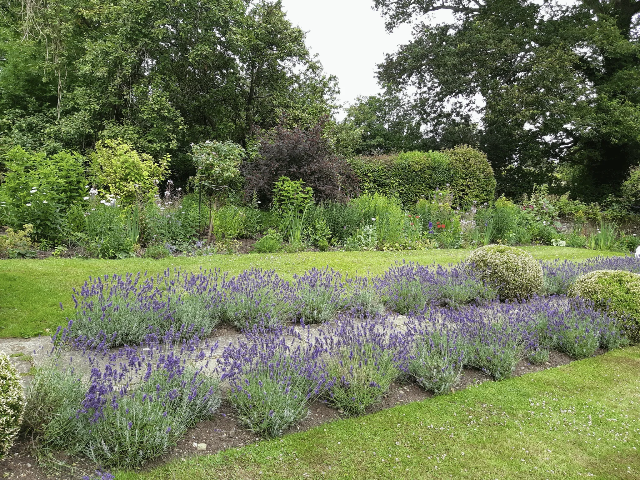 Gardener in Ripon