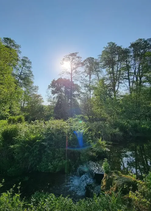 Estate & Large Garden Management in Harrogate