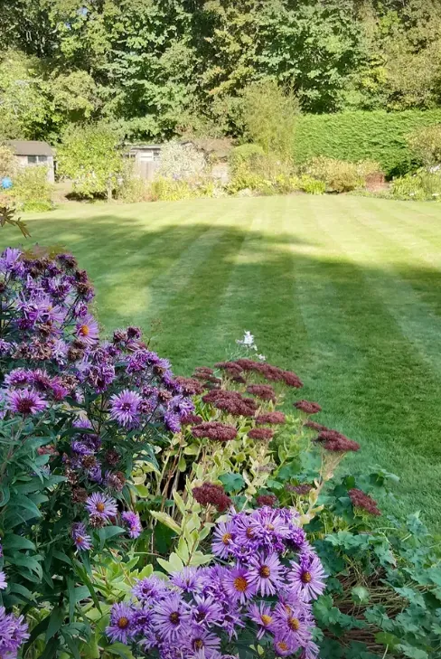 Garden revival services can include