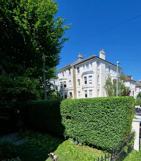 Hedge Cutting & Shrub Care in Harrogate