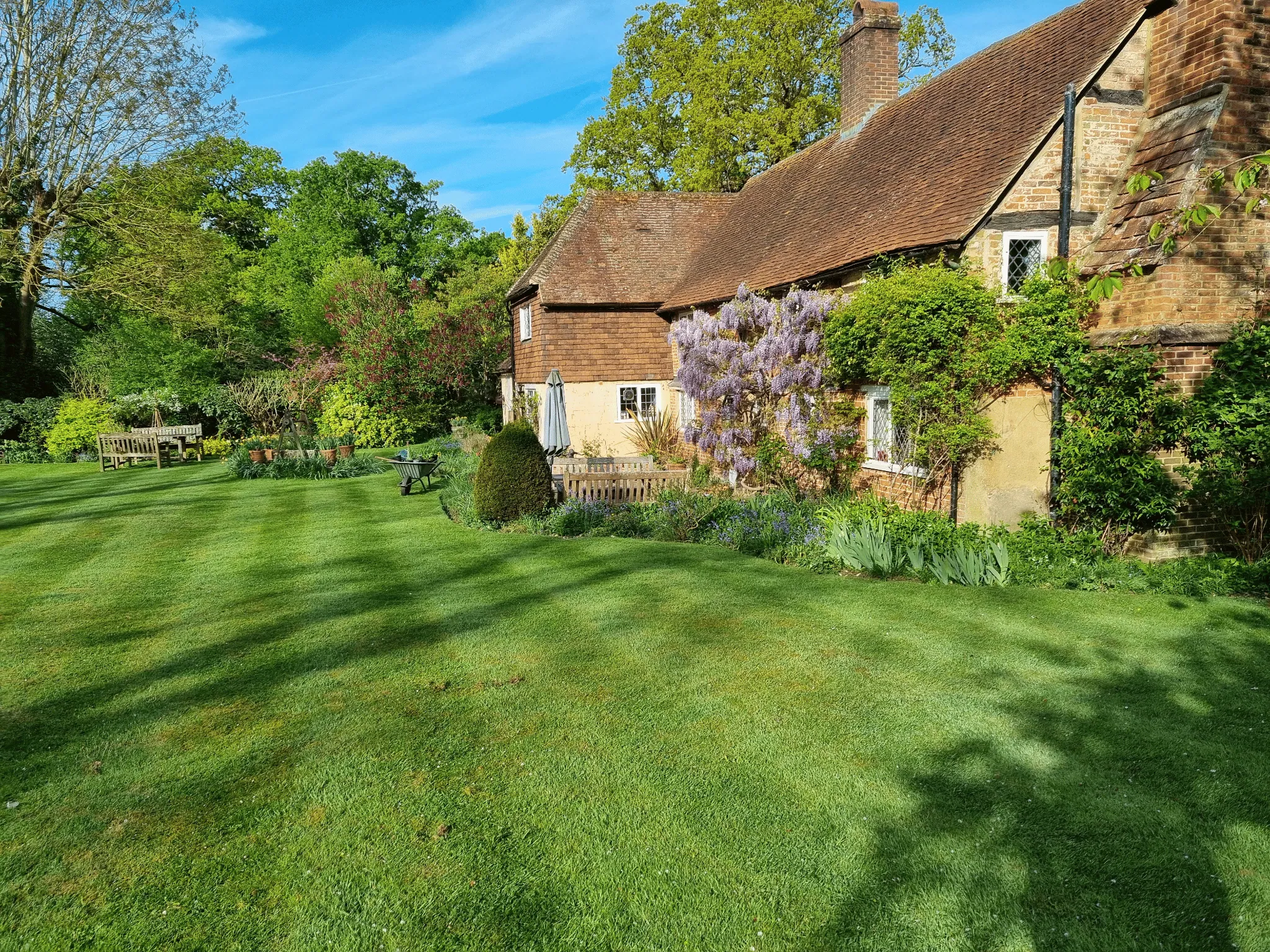 5 Common Garden Mistakes We See in Harrogate (And How to Fix Them)