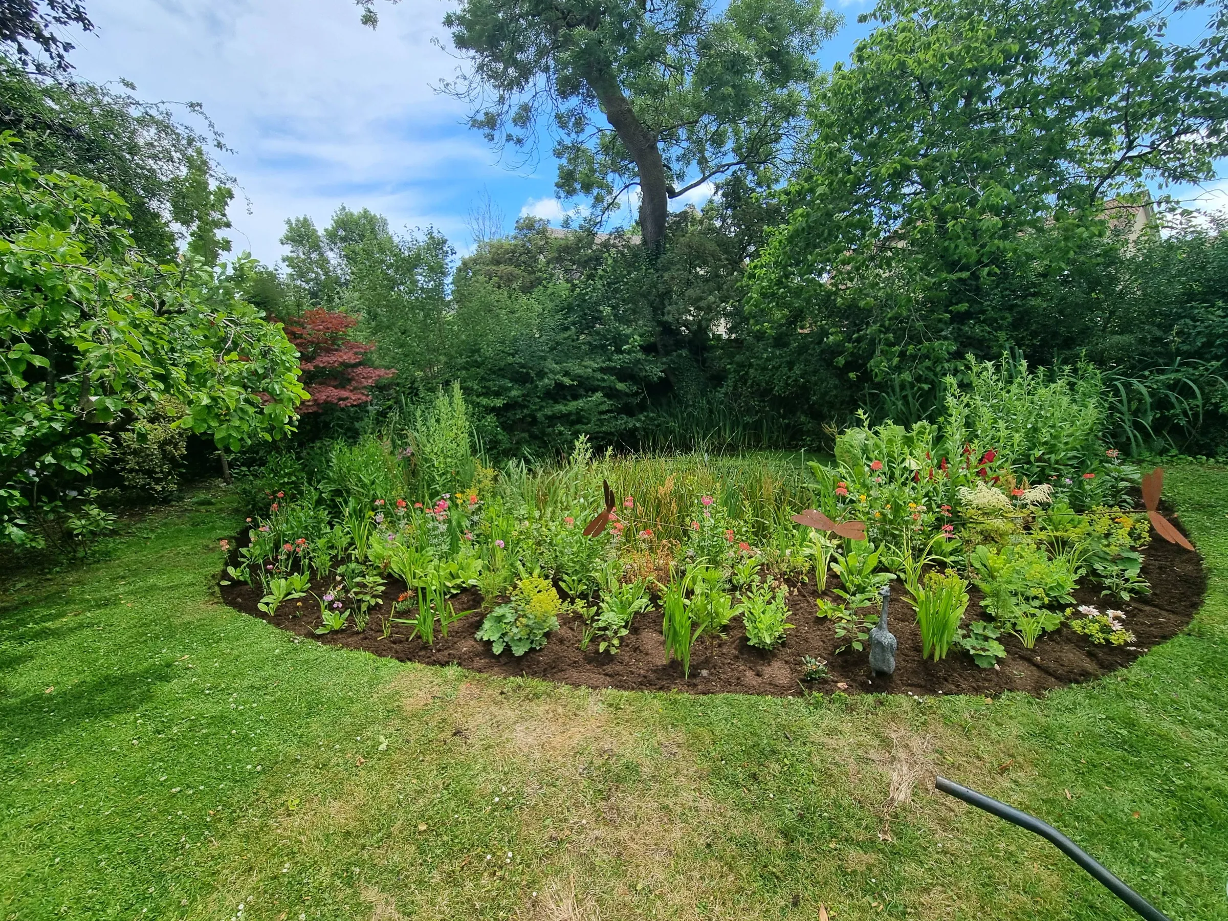 Wildlife Pond Border Restoration & Planting